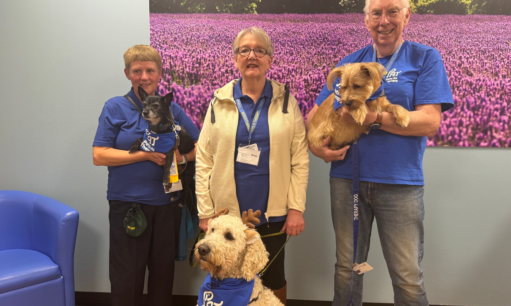 Pets and their owners