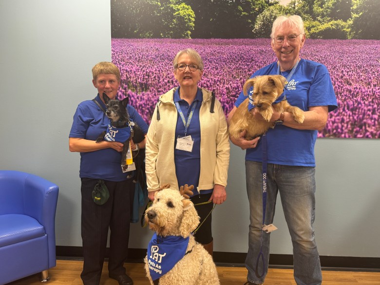 Pets and their owners