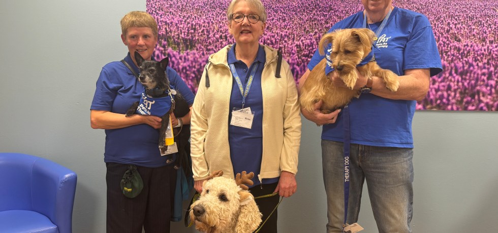 Pets and their owners