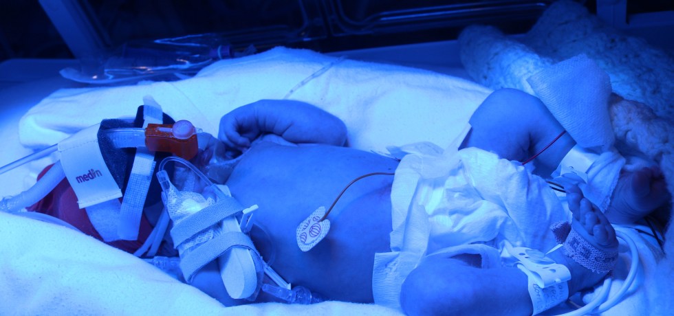 Baby in NICU cot